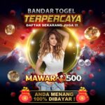 Mawar500 : Bocoran Angka Prediksi Togel SGP Syd HK Pools